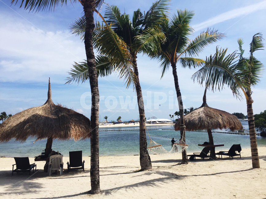 하늘,야자수,자연,모래,비치,방갈로,tropical,해변,바다,beach,sea