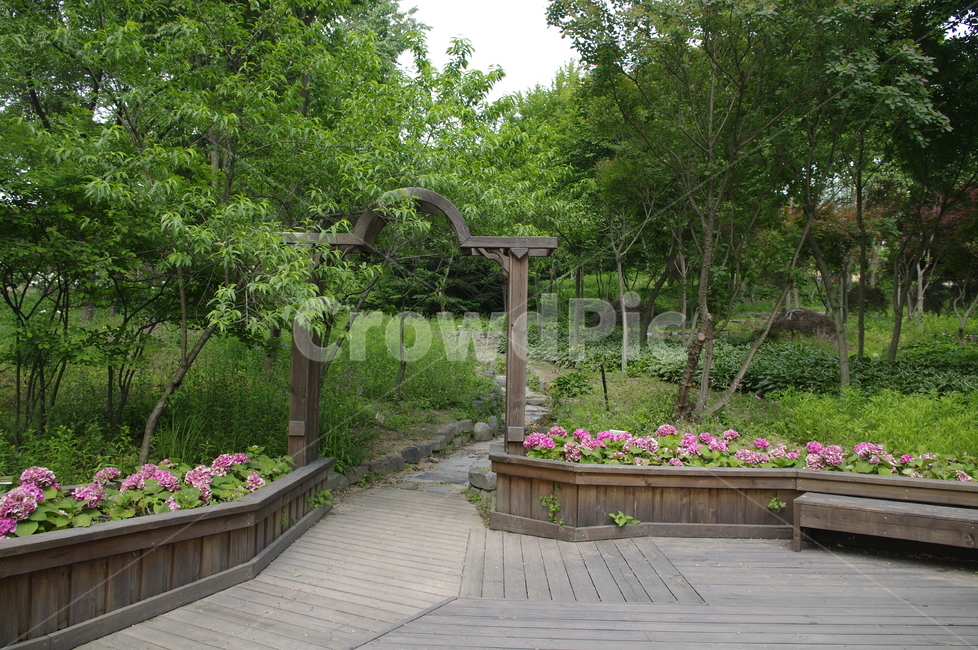 숲,초록,나무,잎,꽃,flower,식물,plant,계절,봄,spring,길,자연,풍경,nature,landscape,outdoors,옥외,arbour,정자,garden,정원