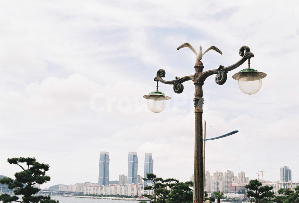 가로등,갈매기,부산,lamppost,램프포스트