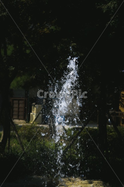 물,순간,분수,water,moment,black