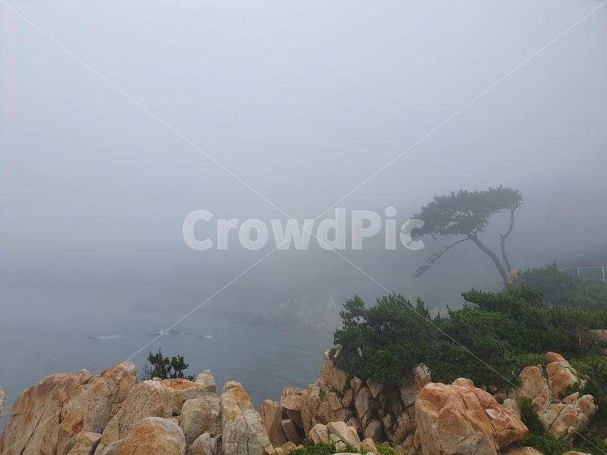 자연,nature,날씨,outdoors,weather