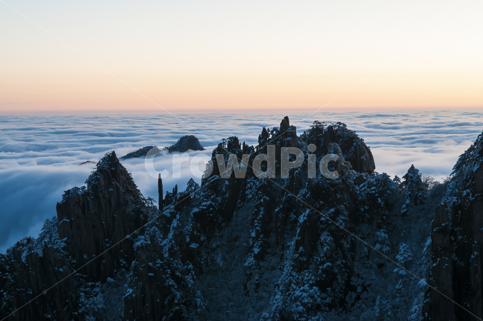 자연,풍경,경치,중국,산,황산,구름,아침,새벽,일출,빛,햇빛,여명,하늘,안개,운해,구름바다,눈,설경,나무,소나무,정상,고산지대,명소,옥외,tree,plant,자연,풍경,nature,landscape