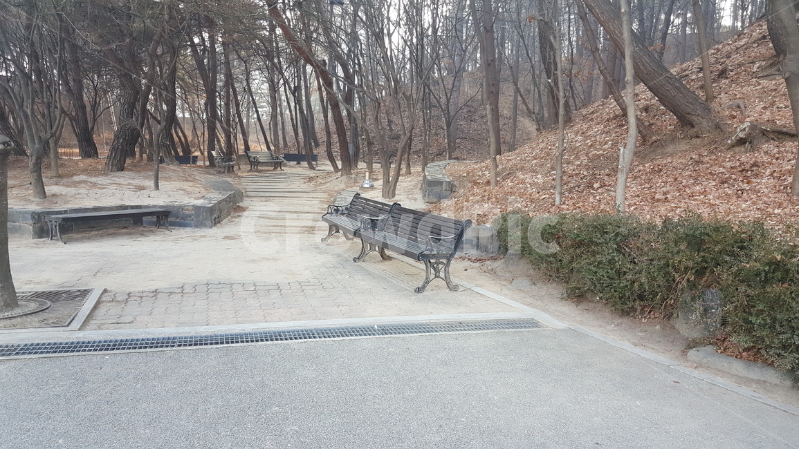 공원,벤치,의자,쉼,휴식,자연,야외,자연,풍경,nature,landscape,bench