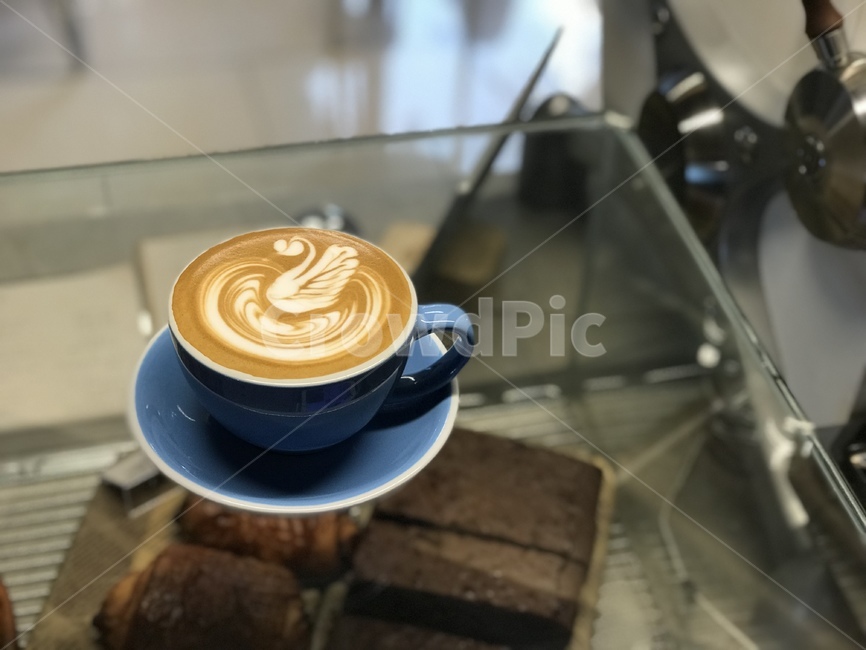 커피,라떼아트,커피아트,백조,카페라떼,coffee,latteart,coffeeart,swan,cafelatte,음료수,drink,beverage,커피,카페,coffee,cafe