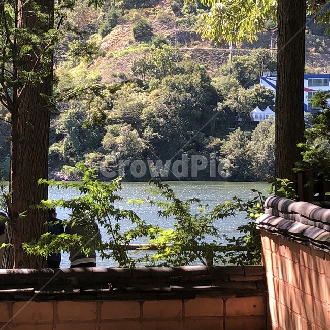 강,나뭇잎,river,여름,봄,summer,spring,담,담벼락