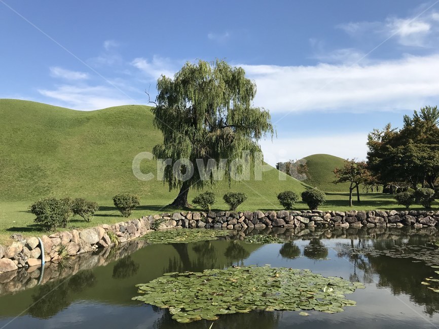 경주,가을,대릉원,초원,유적,유적지,풍경,자연,풍경,nature,landscape,한국자연풍경,한국자연경관,korea nature landscape,outdoors,옥외,grassland,목초지,field,들,water,물