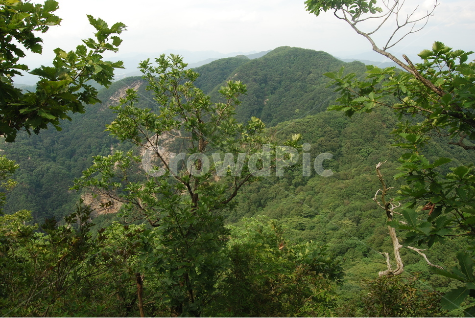 tree,mountain,summer,sky,탐방로,자연,풍경,nature,landscape,outdoors,옥외,hill,언덕