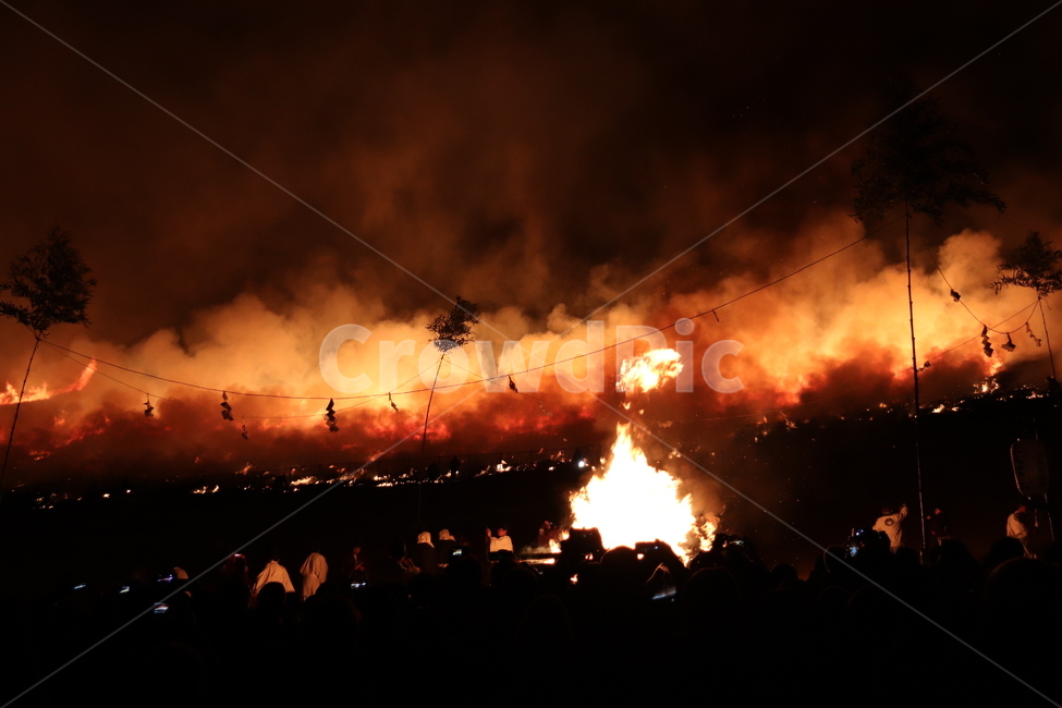 산불,축제,일본,나라,산태우기,태우기