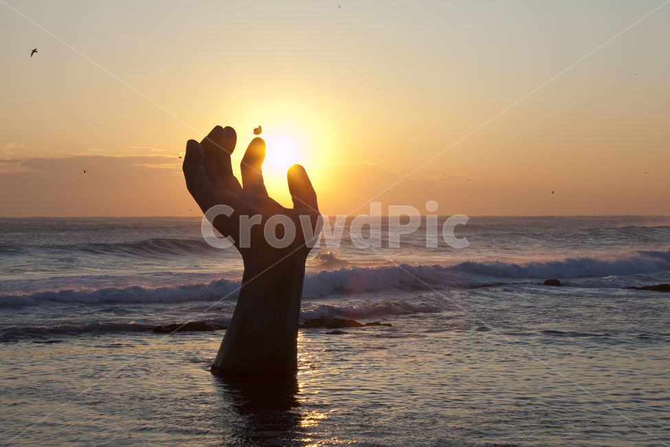 일출,갈매기,자연,nature,ocean,대양,sea,바다,water,bird,물,outdoors,flare,플레어,빛,파도,호미곶,sunlight,햇빛,조각상,동상,석상,조형물,statue,bronze statue,stone statue