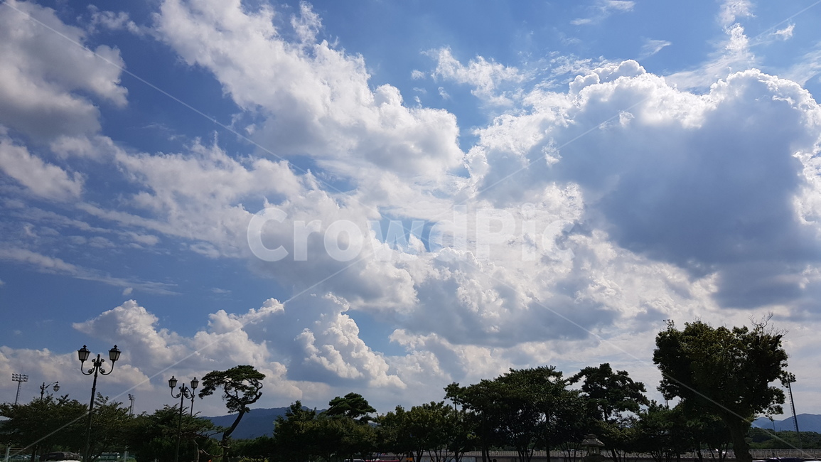 하늘,구름,뭉게구름,하얀구름,파란하늘,나무,맑은하늘,가로수