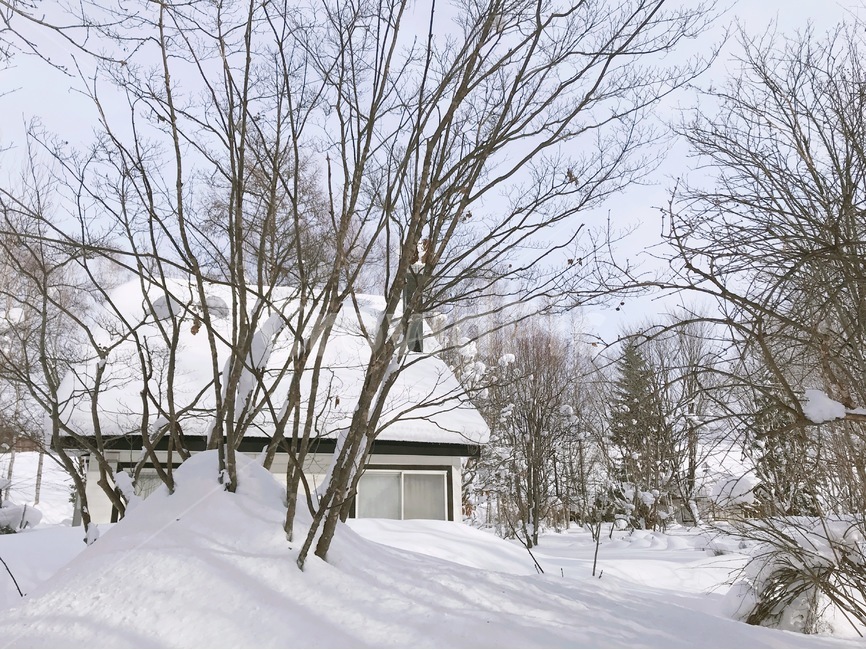 삿포로,겨울,비에이,눈,집,나무,sapporo,snow,tree,christmastree,biei,winter,nature,자연,일본,japan,배경,landscape,house,trees,겨울,계절,winter,season,자연,풍경,nature,landscape,outdoors,옥외,building,건물
