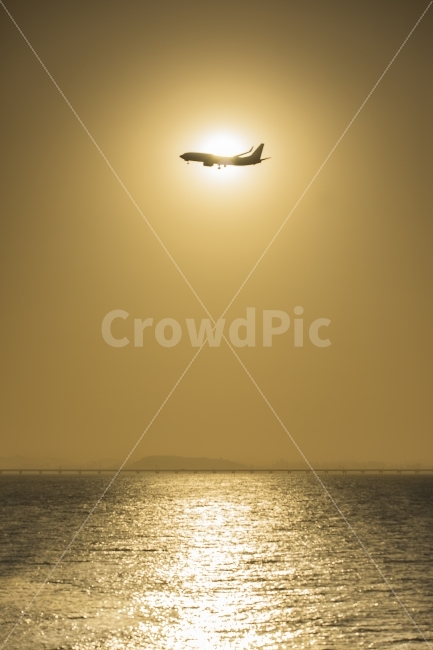 영종도,인천대교,비행기,인천,바다,일출,sunrise,sun,sea,airplane,자연,풍경,nature,landscape,교통,교통수단,traffic,transportation,flying,나는,animal,동물,bird,새,leisure activities,레저 활동,adventure,모험