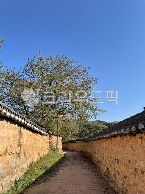 한옥,담장,옛길,돌담길,골목,전통,한옥마을,기와