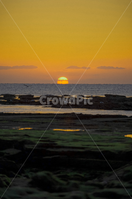 일출,성산일출봉,sunrise,seongsan,풍경,자연,풍경,nature,landscape,outdoors,옥외