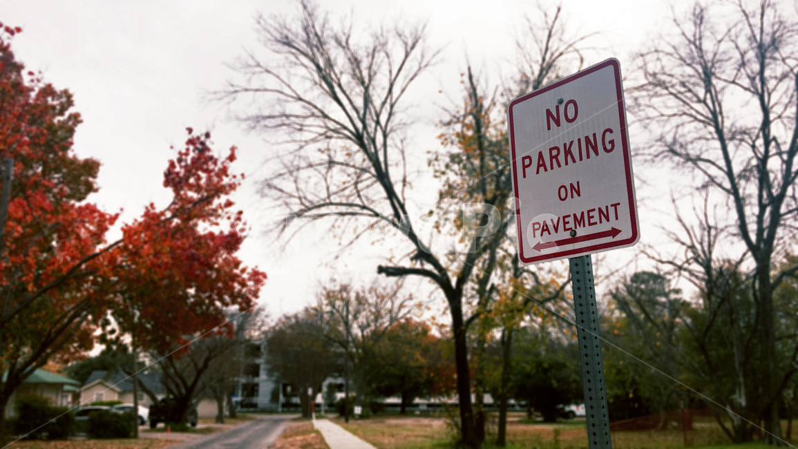 가을,단풍,영어표지판,noparking,주차금지표지판,표지판