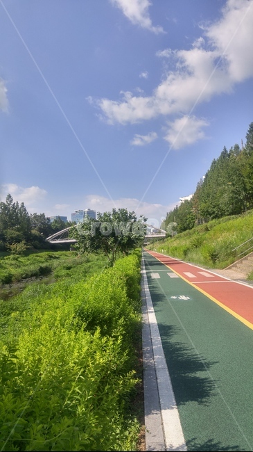 운동,산책,걷기,트랙,walk,도보,자연,풍경,nature,landscape,road,도로,freeway,고속 도로,highway,고속도로,asphalt,아스팔트