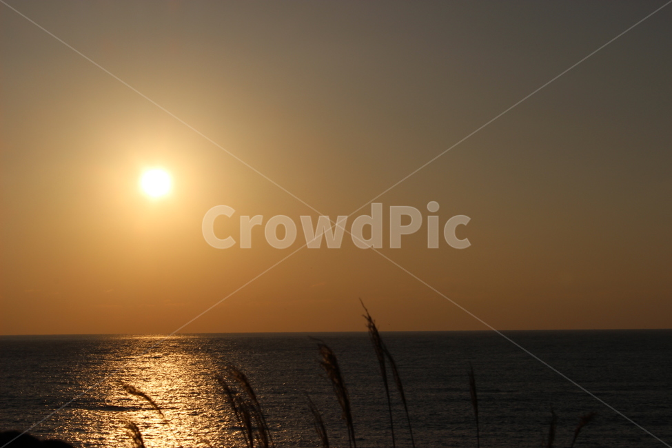 일몰,제주도,해질녘,바다,제주도일몰,노을,태양,자연,풍경,nature,landscape,light,빛,flare,플레어,grass,잔디,plant,식물,sunlight,햇빛