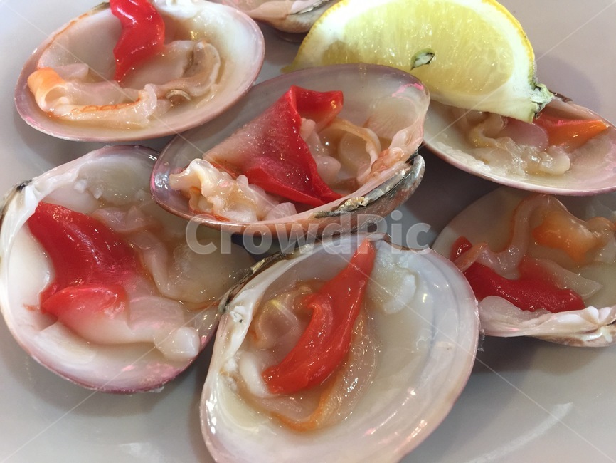 스페인,말라가,조개,생,seashell,sealife,음식
