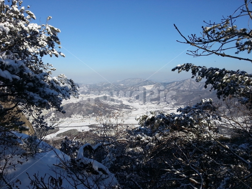 설경,눈꽃,눈,겨울산,겨울나무,산,나무,자연,식물,겨울,계절,winter,season,자연,풍경,nature,landscape
