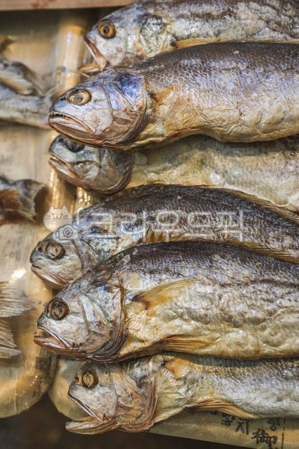 조기, 물고기, fish, 민어, 바닷물고기, 사진,이미지,일러스트,캘리그라피 - Spro17작가