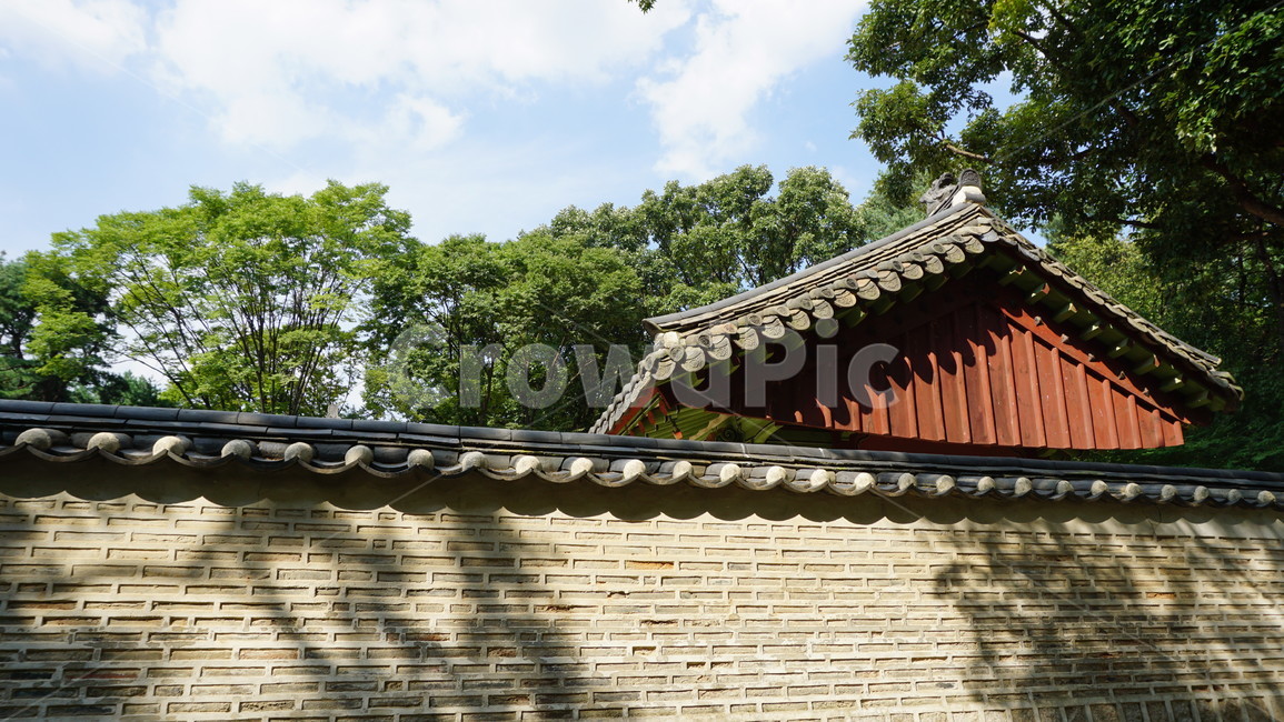 지붕,하늘,담벼락,한옥,전통,roof