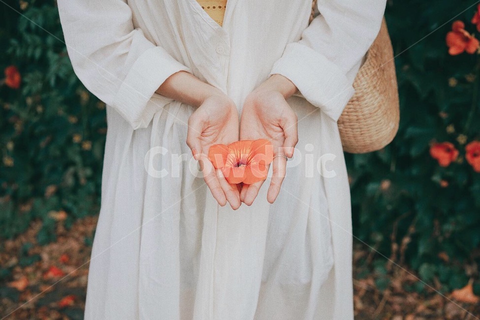 능소화,꽃,식물,플라워,감성,꽃,flower,사람,인물,인간,human,person,여성,여자,woman,female,lady,감성,sensible,feeling