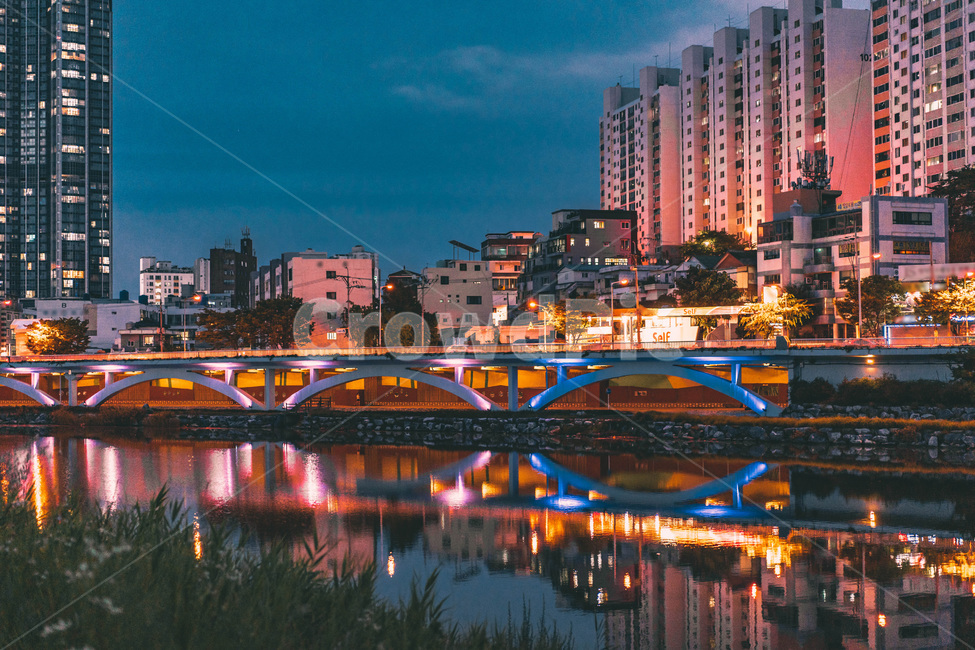 building,건물,city,시티,urban,어반,town,도시,야경,강,야경,밤,풍경,nightscape,night,landscape,도시,city