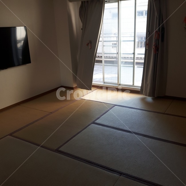 커튼,햇빛,마루,다다미,배란다,인테리어,실내디자인,interior design