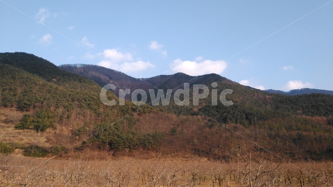 들판,맑음,구름,파란하늘,풍경,자연,풍경,nature,landscape,outdoors,옥외,hill,언덕