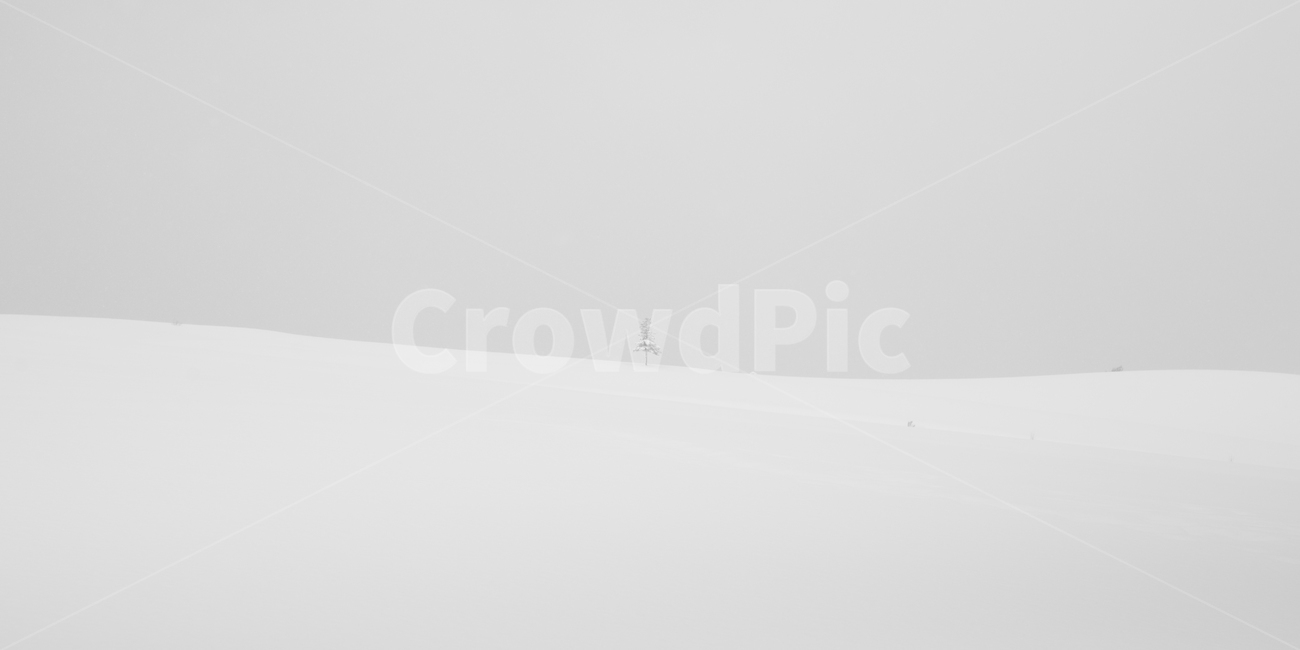 설경,비에이,겨울,눈,snow,겨울,계절,winter,season,자연,풍경,nature,landscape,outdoors,옥외,storm,폭풍,blizzard,눈보라