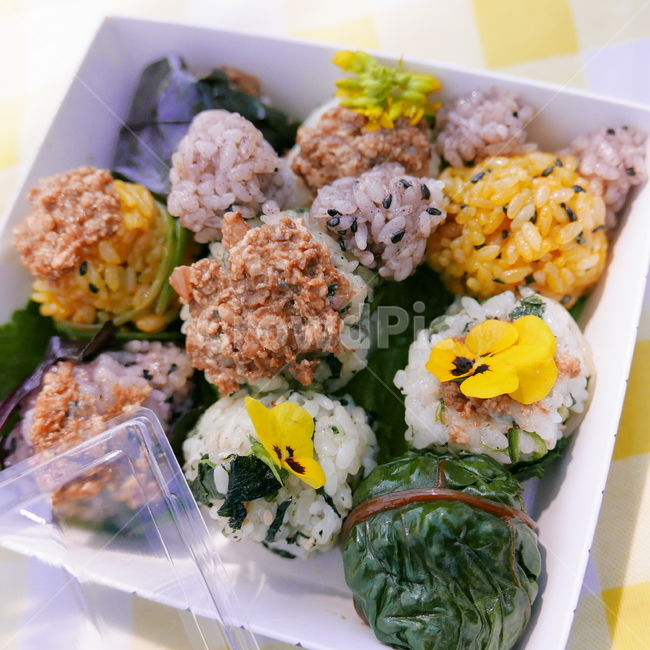 꽃도시락,꽃주먹밥,강된장,유채꽃밥,꽃밥,꽃,flower,plant