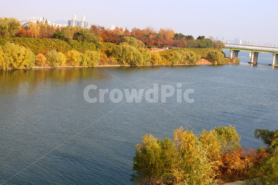 공원,선유도공원,한강공원,자연,풍경,나무,가을,단풍,한강,강,물,양화대교,가을,계절,fall,autumn,season,자연,풍경,nature,landscape,water,outdoors,옥외