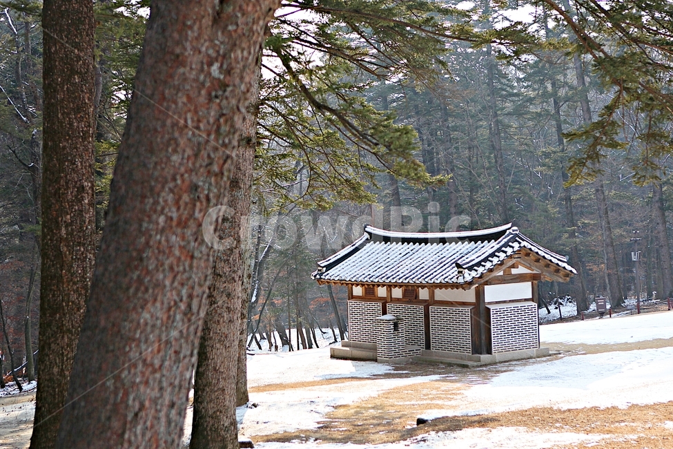 한옥,나무,자연,배경,겨울,풍경,겨울,계절,winter,season,한국전통,한국문화,korean traditional,korean culture,건축물,건물외관,exterior,building,structure,architecture,construction