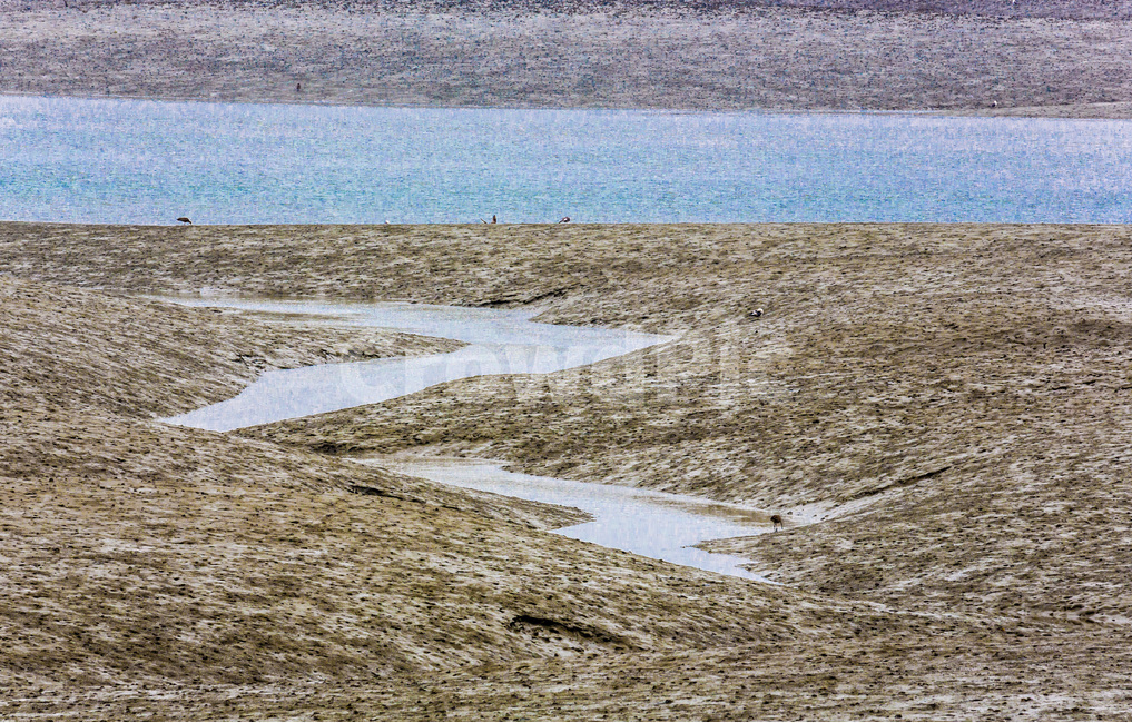 영종도,갯벌,석양,풍경,환경,바닷가,자연,풍경,nature,landscape,한국자연풍경,한국자연경관,korea nature landscape,outdoors,옥외,land,땅