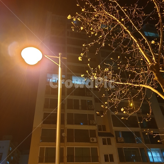 봄날,퇴근길,가로등,봄꽃,밤공기