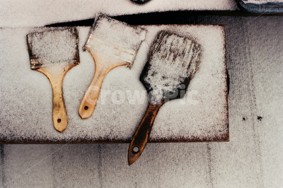 페인트붓,붓,눈,겨울,snow,필름사진,weather,날씨,winter,겨울,계절,winter,season