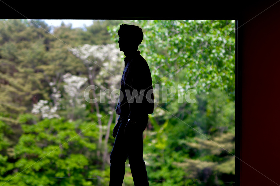 남자,사람,숲,창문,나무,man,human,tree,forest,nature,black,사람,인물,인간,human,person,남성,남자,man,male,인물실루엣,사람실루엣,character silhouette,human silhouette,고독함,외로움,쓸쓸함,우울함,슬픔,lonely,solitary