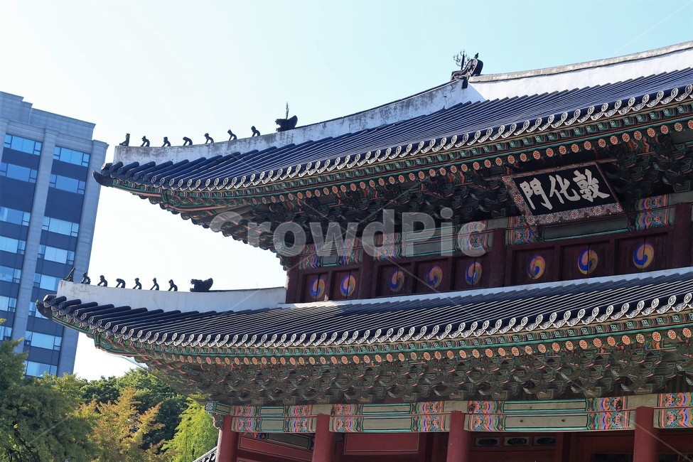 건축물,architecture,서울,궁궐,창덕궁,돈화문,기와,지붕,풍경,seoul
