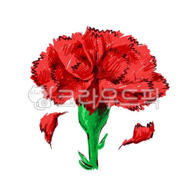 카네이션,어버이날,스승의날,가정의달,꽃잎,꽃,빨강,식물,초록,꽃일러스트,카네이션일러스트,carnation,flower