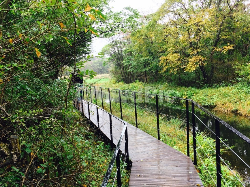 비오는날,산책길,숲속길,road,비