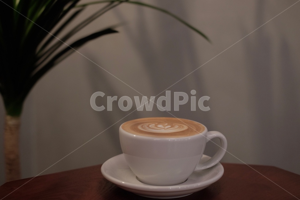 커피,라떼,라떼아트,화분,테이블,커피,카페,coffee,cafe
