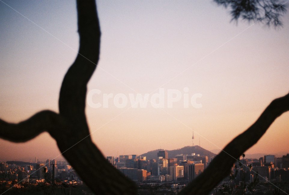서울,seoul,도시,일몰,sunset,노을,감성,sentimental,필름,필름사진,film,city