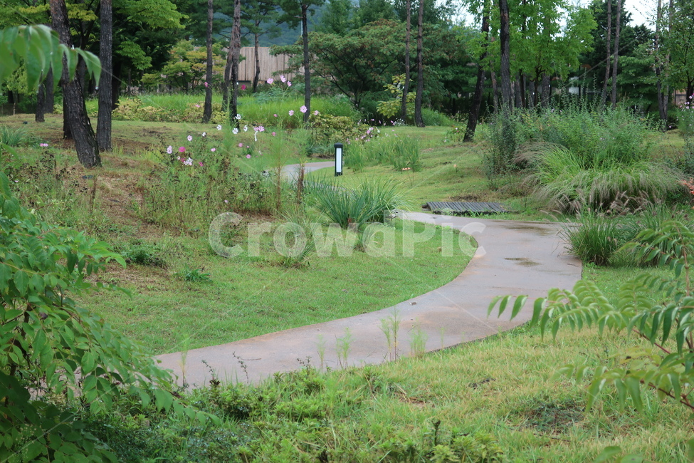 서울,창포원,식물원,도시,공원,습지,조성,숲,산책,산책로,자연,풍경,nature,landscape,flagstone,판석,path,통로