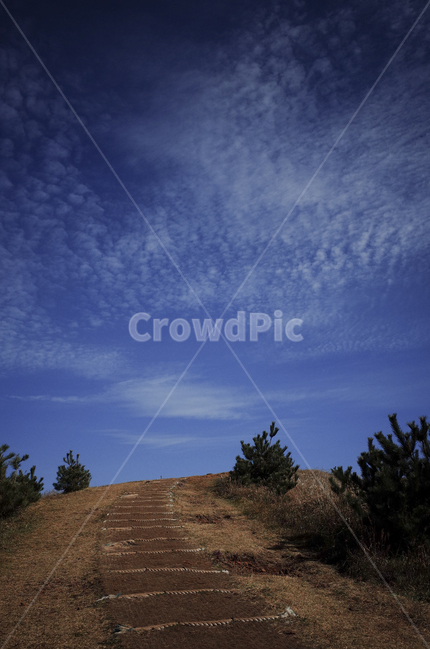 boardwalk,산책로,field,들,hill,언덕,outdoors,옥외,하늘,sky,bluesky,파란하늘,푸른하늘,nature,자연