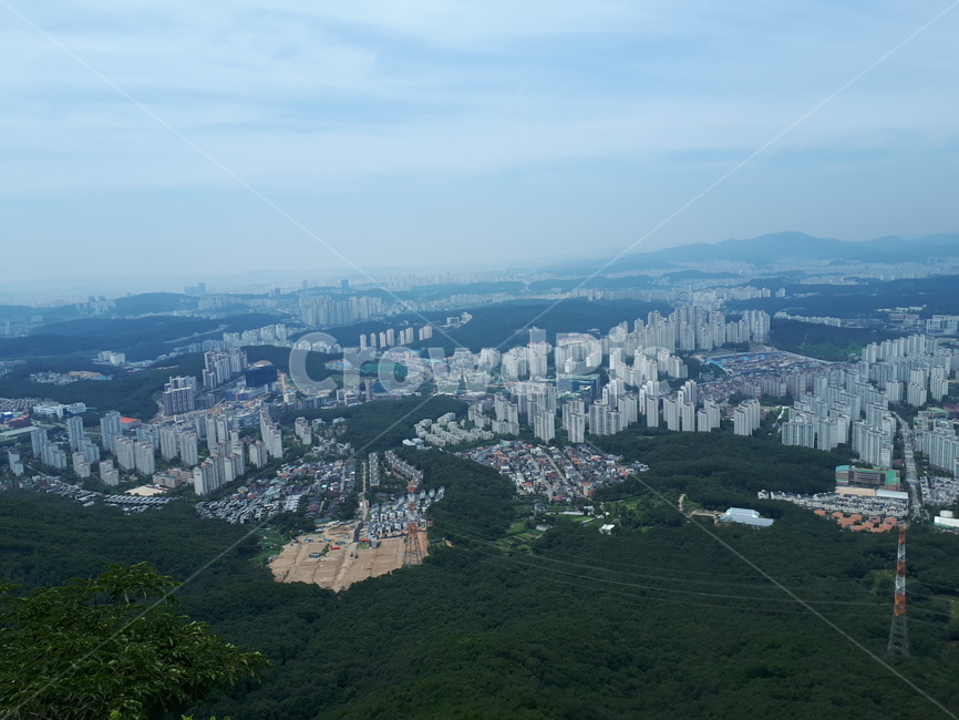 풍경,동백,도시,아파트,석성산
