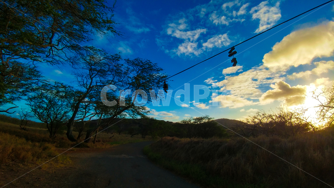 신발,하늘,노을,구름,나무,파란하늘,자연,풍경,nature,landscape,실루엣,그림자,silhouette,shadow
