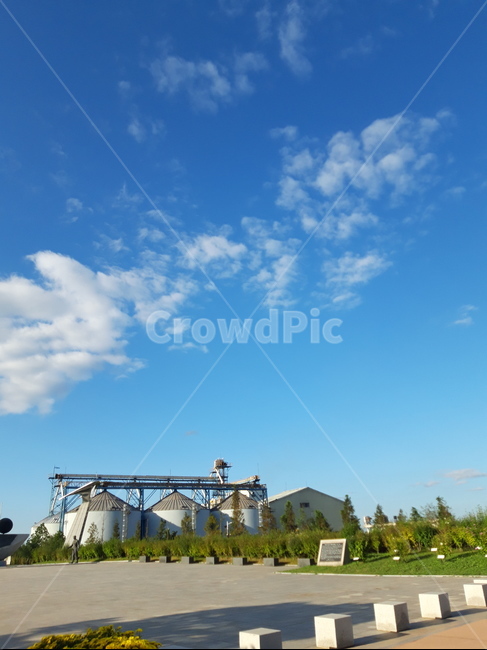 outdoors,옥외,grass,잔디,식물,plant,자연,nature,구름,하늘,풍경