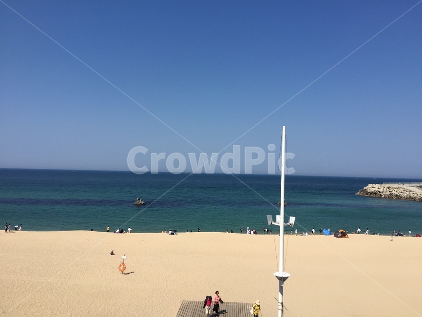 초록,하늘,바다,해변,안목해변,beach,수평선