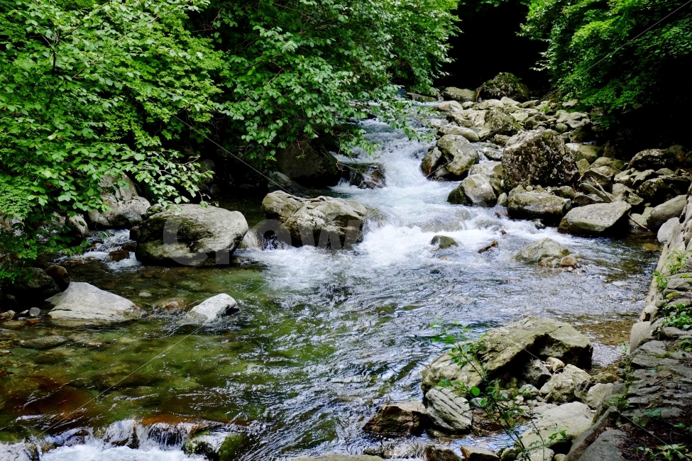 계곡,자연,산,환경,풍경,나무,여름,물,자연,풍경,nature,landscape,여름,계절,summer,season,water,outdoors,옥외,stream,흐름,creek,작은 만