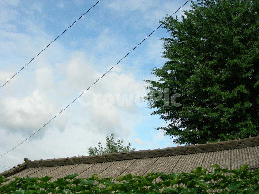 지붕,하늘,나무,전기줄,구름,덩굴,시골,집,전원,gable,sky,tree,country,cloud,house,farms